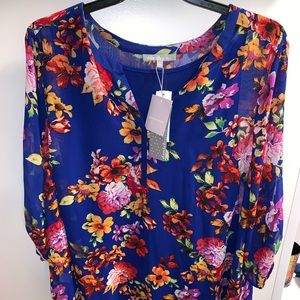 NWT Daniel Rainn Kodie Chiffon blouse Cobalt 3X